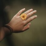 flower, flower background, bloom, blossom, beautiful flowers, botany, hand, nature, mood, flower wallpaper, yellow, ring, hand, hand, hand, hand, ring, ring, ring, ring, ring